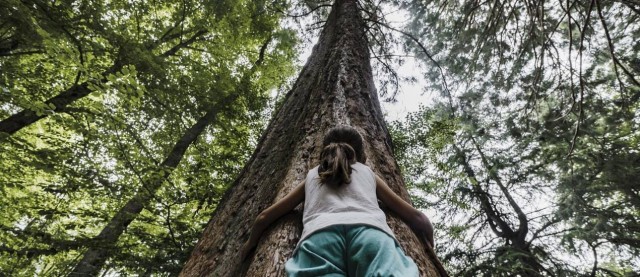 Pasear por el bosque reduce los niveles de cortisol, la hormona del estrés
