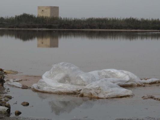 Ecologistas reclaman actuar contra los residuos en las Salinas de Santa Pola y un plan de integración con la N-332