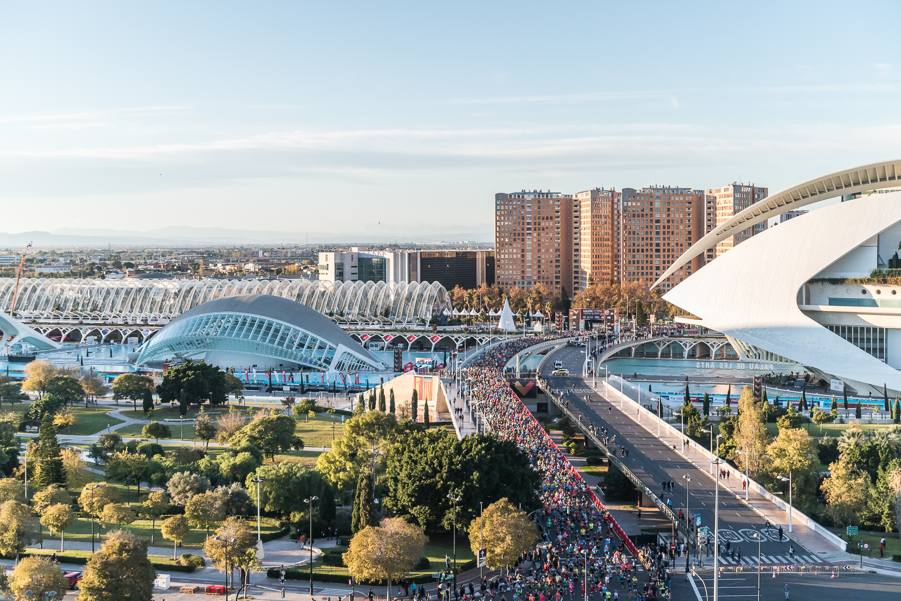Cherono y Jelagat ganan el Maratón de Valencia en el día que los corredores
populares fueron protagonistas