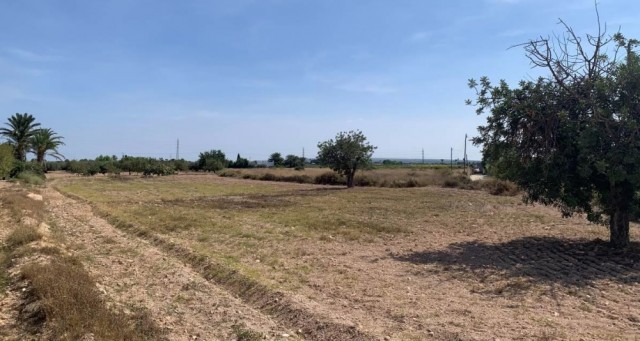 La lorquina Pydesa recibe la autorización para instalar su décima planta fotovoltaica en Elche