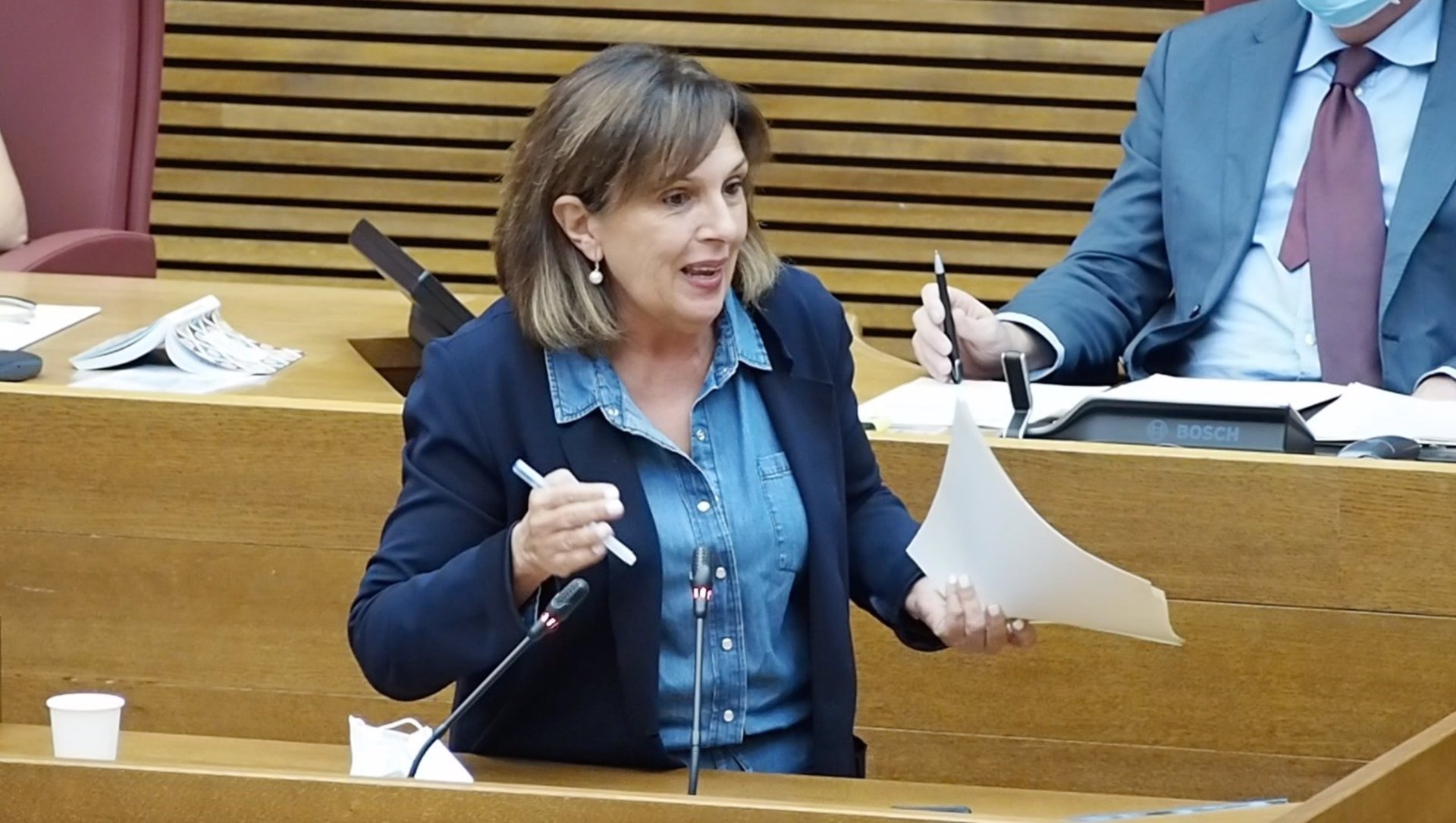 La portavoz de Sanidad del PSPV en Les Corts Valencianes, Carmen Martínez. Foto: PSPV - 