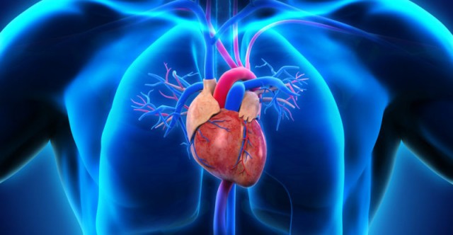 Desarrollan un tejido sintético que puede reparar corazones, músculos y curar heridas