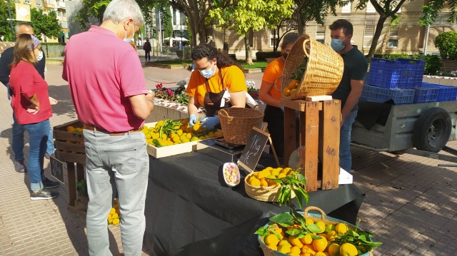 Cítricos con diseño transforman la Fira de la Taronja  en una exposición itinerante 