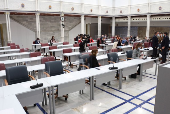 La Asamblea pide al Congreso la retirada de la reforma del Estatuto con el plantón de PSOE, Podemos y Cs