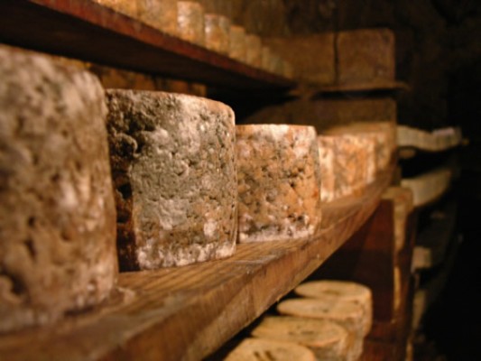 Asturias, patria querida del queso