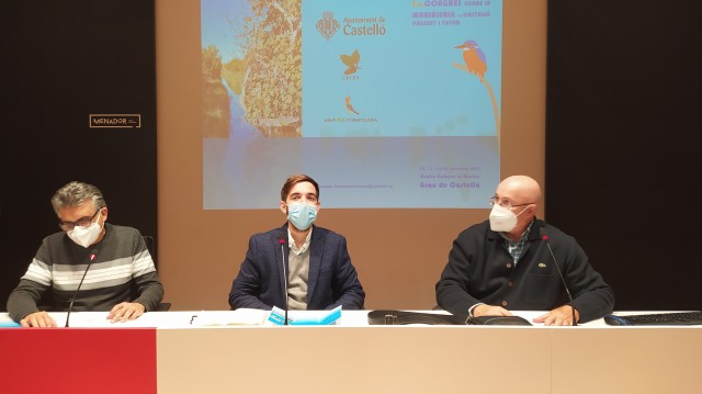 Castelló crea un congreso para 