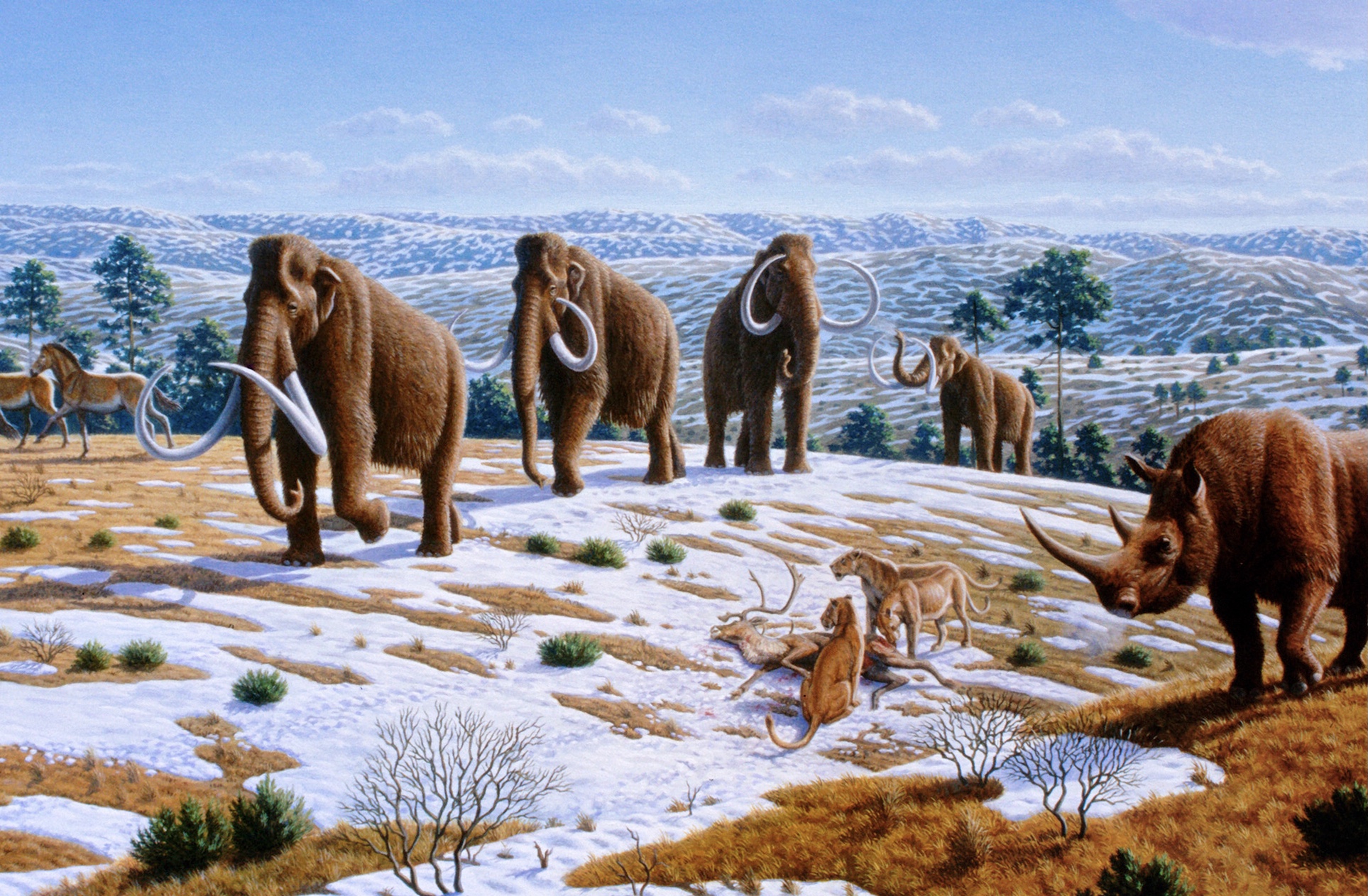 Planificar el planeta futuro, 'La terraformación' de Benjamin Bratton