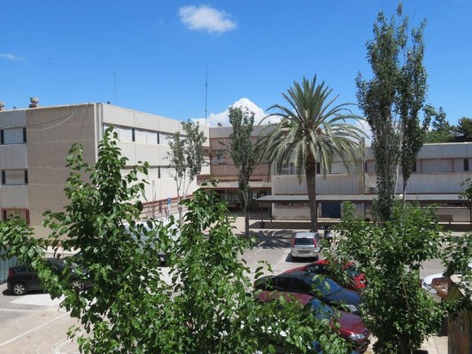 Alicante cede una parcela pública al IES Virgen del Remedio para impartir un ciclo de jardinería y horticultura