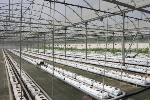 Los plásticos agrícolas: residuos o materias primas
