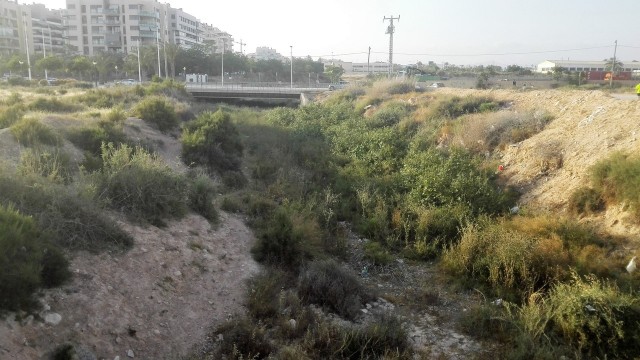 Aigües d'Elx adjudica la llegada del agua potable a Llano San José y activa el tanque de tormentas del barranco