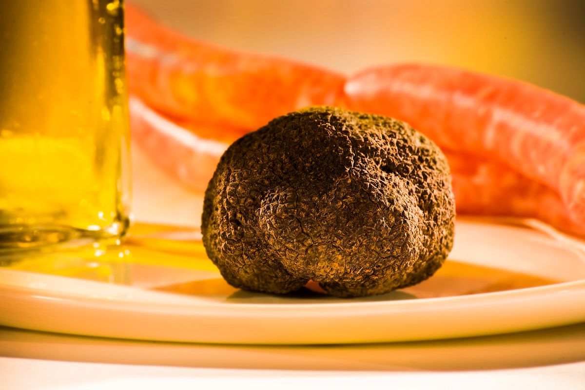 Vuelve la Feria de la trufa de El Toro: tres días dedicados al diamante negro de la gastronomía