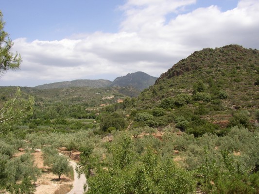 CaixaBank y Fundació Caixa Castelló apoyan los proyectos de Societat d'Amics de la Serra Espadà y Fundación Global Nature