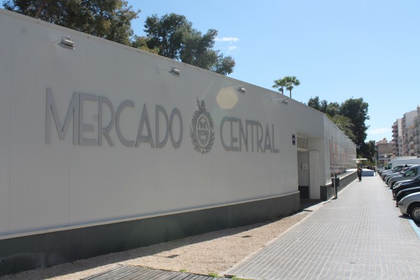 Por qué el bipartito de Elche no derruyó la terraza del provisional: iba a asumir la gestión y era legalizable