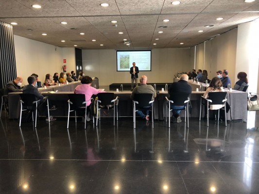 Visitelche sigue avanzando en el Plan Estratégico de Turismo para potenciar el sector