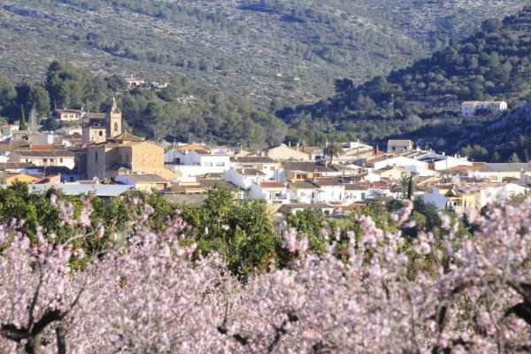 Flor d'ametler