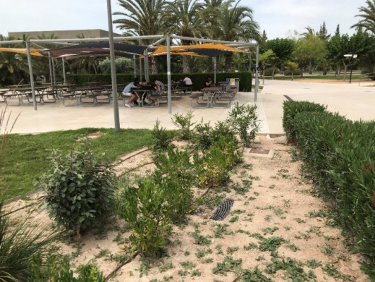 La UMH instalará un quiosco frente a la cafetería de Altabix en Elche para ofrecer servicio de terraza