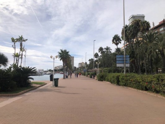 El Puerto y Bertolín activan la transformación del paseo marítimo de Alicante con 10 meses de obra