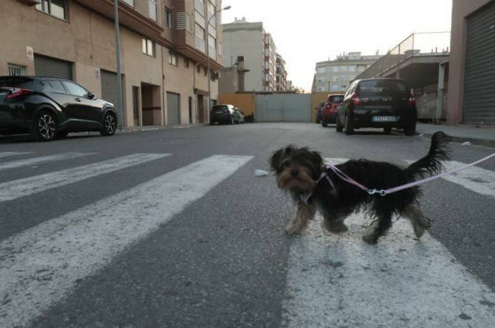 Vila-real acaba con 25 años de trámites: adjudica el derribo de Herarbo para urbanizar tres calles 