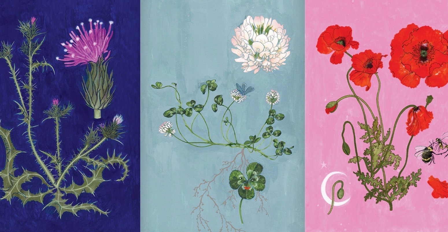 Por qué amar las hierbas que crecen en el asfalto va a cambiar tu forma de habitar la ciudad

