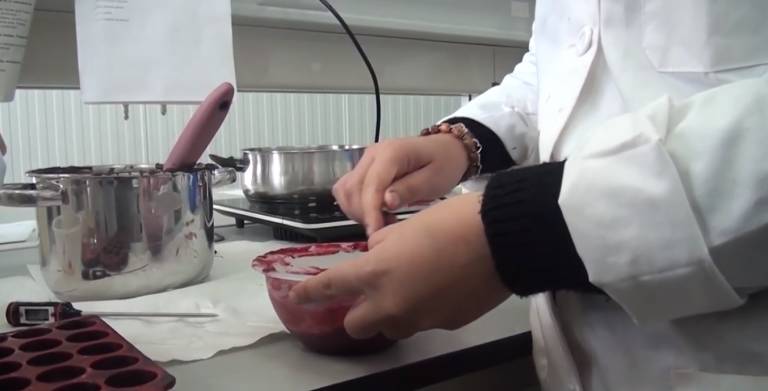 Investigadores de la UMH desarrollan un nuevo ingrediente saludable: harina de caqui