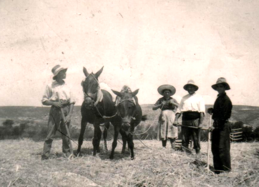 Archivo gráfico AGG (Cauvaca, el Paraíso Perdido, Alfredo Grañena Gavín) - 