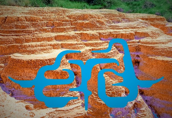 A què sap l’aigua d'Alacant? Visites, converses i un monstre per preguntar com l’aigua construeix