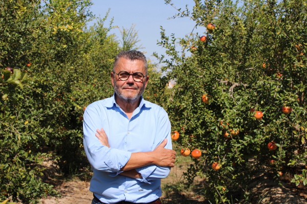 Francisco Oliva reelegido presidente de la DOP Granada Mollar de Elche para los próximos cuatro años