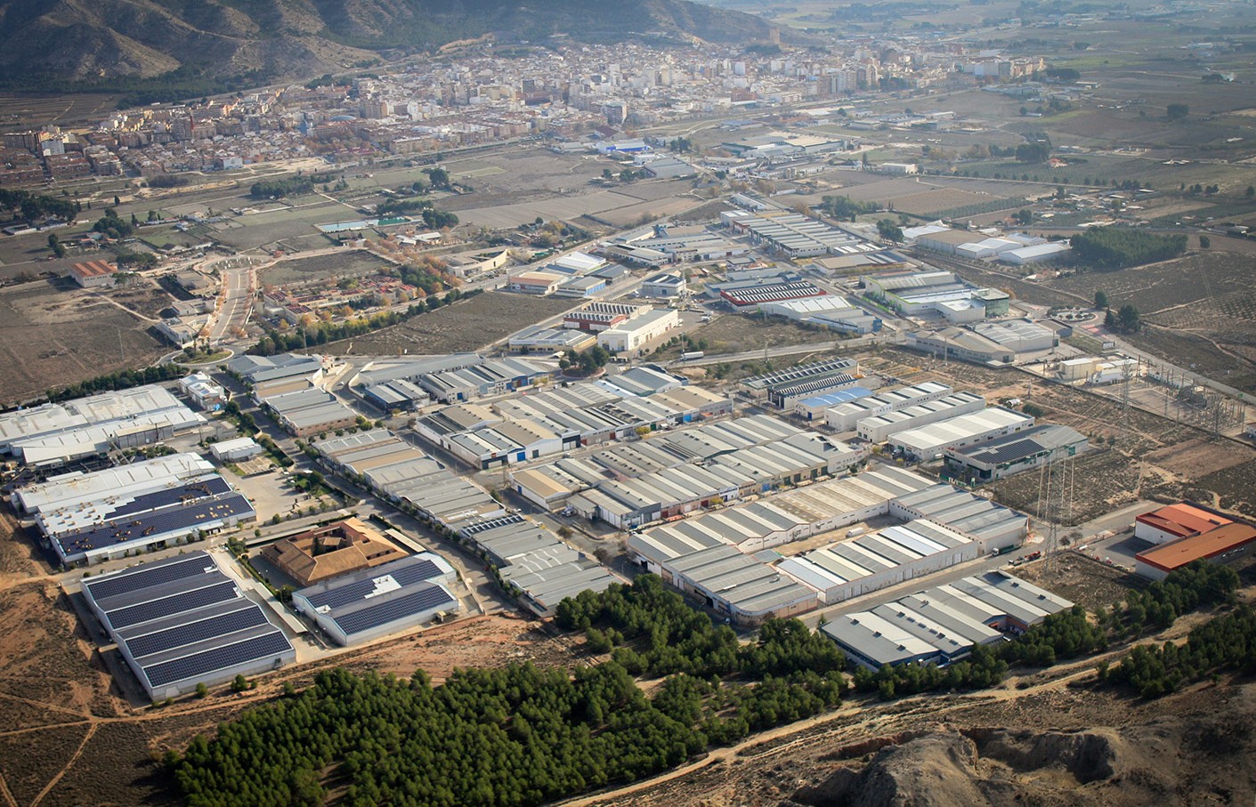 La italiana The Health Food inyecta medio millón en su filial española con sede en Villena