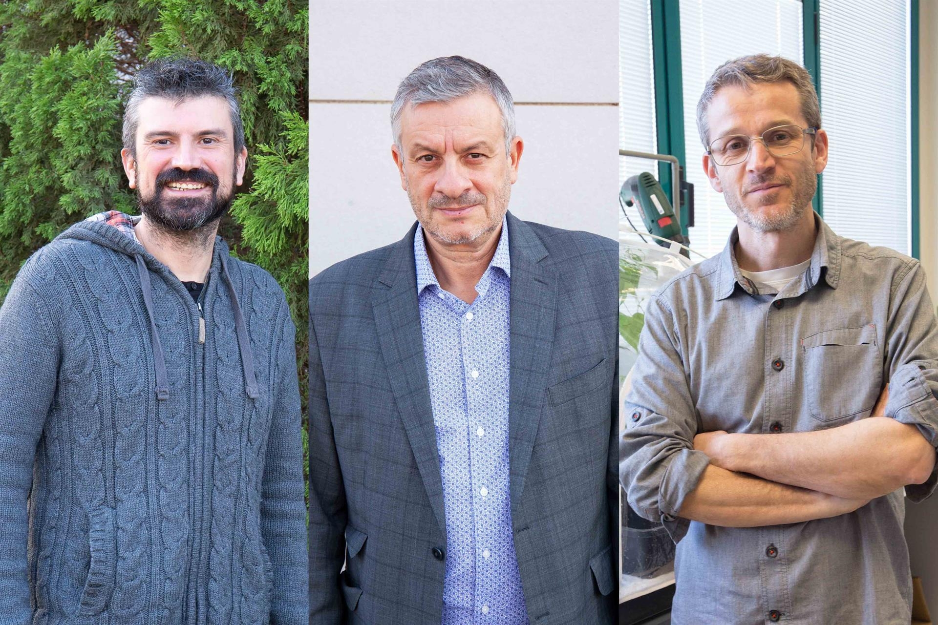 La UJI posiciona a tres investigadores entre los más citados del mundo