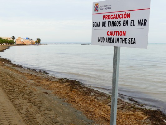Cartagena pide ayuda económica ante el grave problema de biomasa en la costa: 