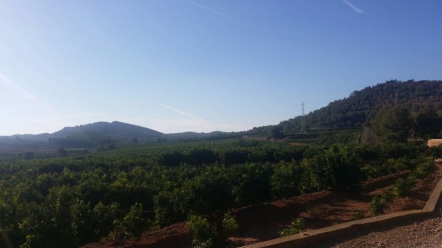 El paraje de Porxinos de Riba-roja se incluye en el PORN del Túria como zona protegida
