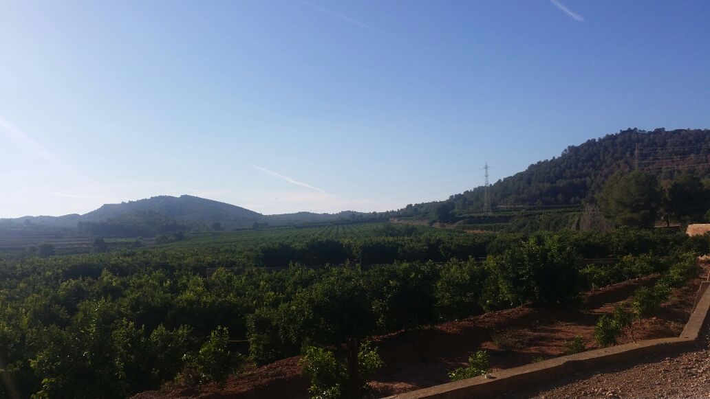 El paraje de Porxinos de Riba-roja se incluye en el PORN del Túria como zona protegida