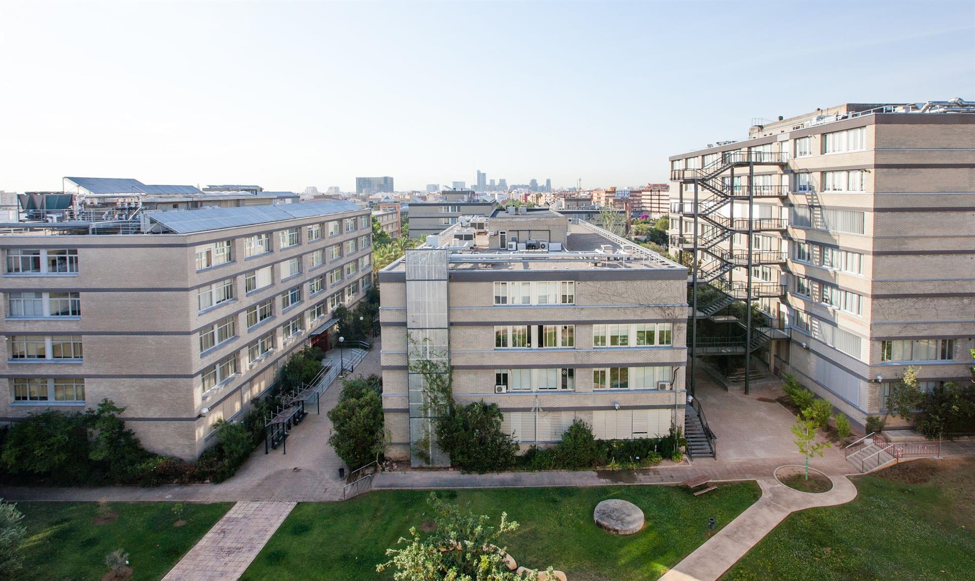 La Sindicatura detecta incumplimientos en los contratos de investigación de la UV