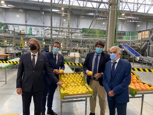 La nueva nave BIO de la cooperativa Frucimu de Mula se pone en marcha con más superficie y trabajadores 