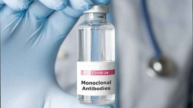 La EMA da su visto bueno a 'Ronapreve' y 'Regkirona', los primeros anticuerpos monoclonales contra la covid
