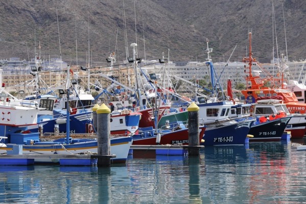 Vuelve la negociación mundial de la pesca de atún del Atlántico tras la covid