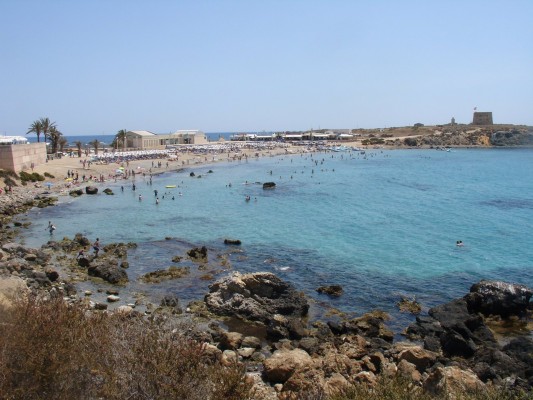 Alicante plantará especies vegetales en plazas y jardines de la isla de Tabarca