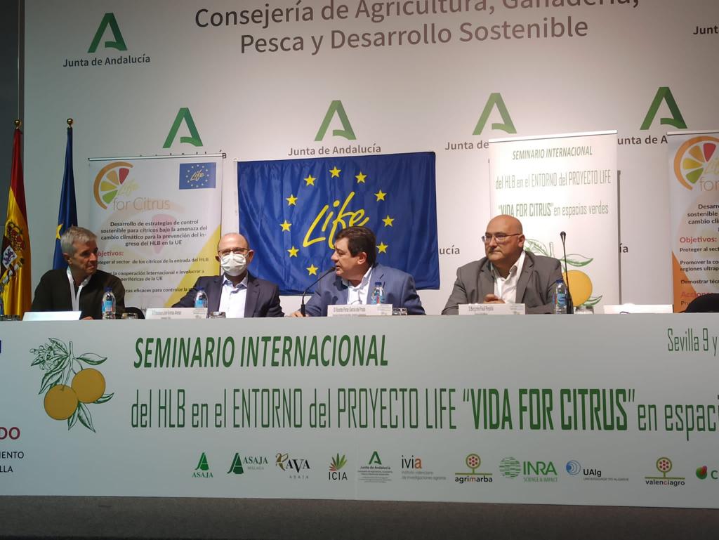 AVA-Asaja alerta de que el vector del HLB llega al Cabo de San Vicente y se acerca a Huelva