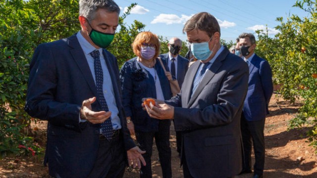 El ministro Planas se sienta el viernes con los productores de cítricos... sin agenda definida