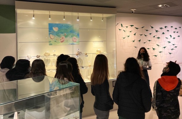 El MUPE celebra la Semana de la Ciencia con visitas guiadas y un proyecto educativo