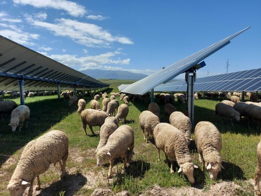 Atitlan prevé invertir 62 millones en una planta agrovoltaica en Alicante con 116 MW