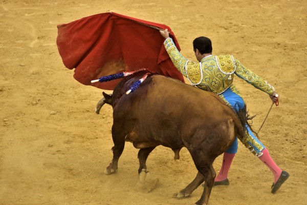 La actividad taurina se recuperó un 70% en 2021 a pesar de las restricciones