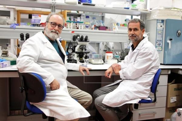 La UA investiga una nueva terapia génica con Crispr para enfermedades retinianas