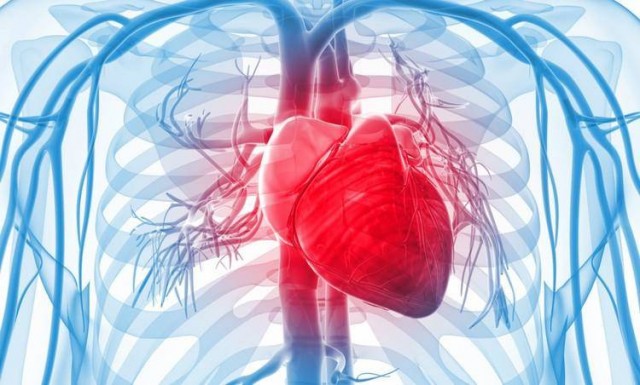 ¿Cuál es el mejor ejercicio para el corazón?

