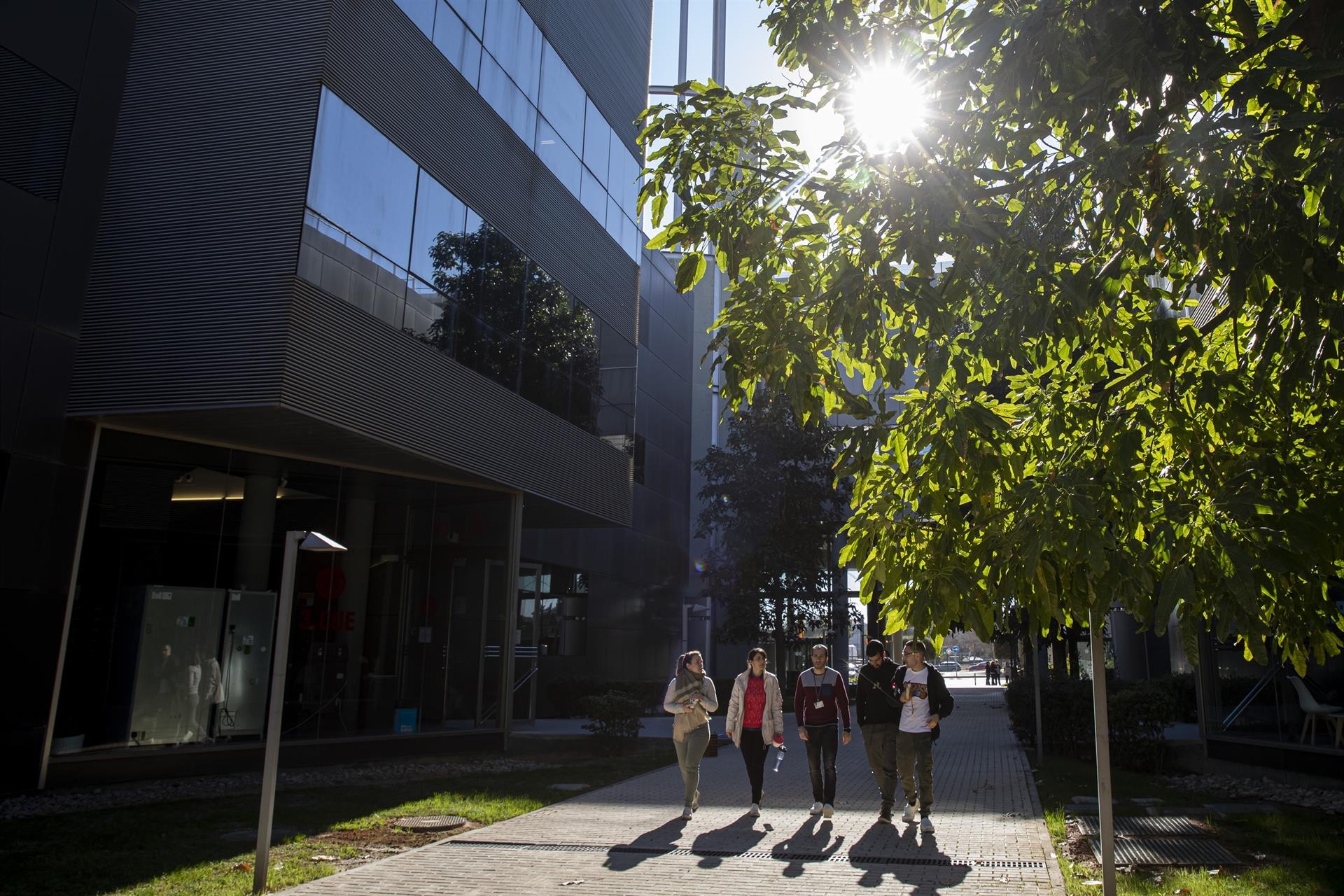 Foto: MIGUEL LORENZO/ARCHIVO - 