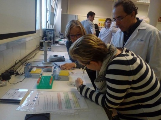 El proyecto Imas, reconocido como la mejor Compra Pública de Innovación en Salud de España