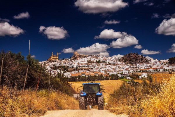 La Comunitat recibe 8,8 millones para fomentar la competitividad del sector agrario en 2021