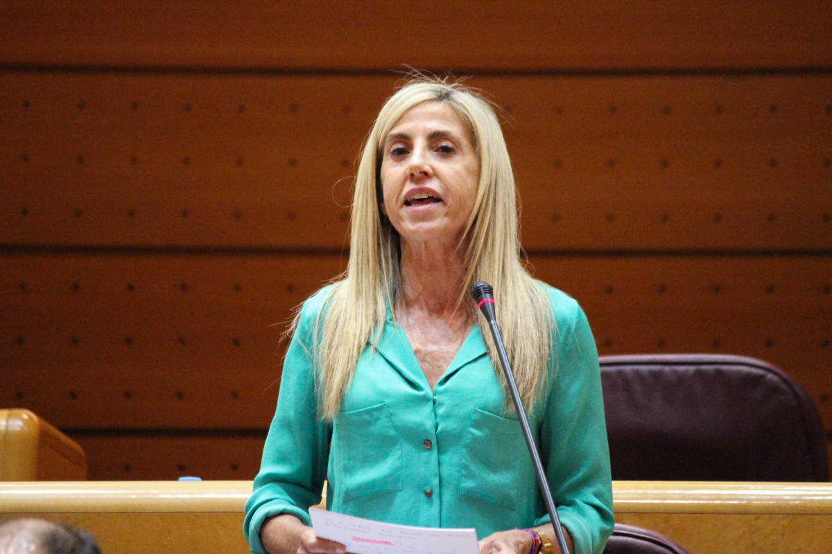 El PP alerta de la proliferación de una plaga de ratas en la zona de Gascó Oliag de València