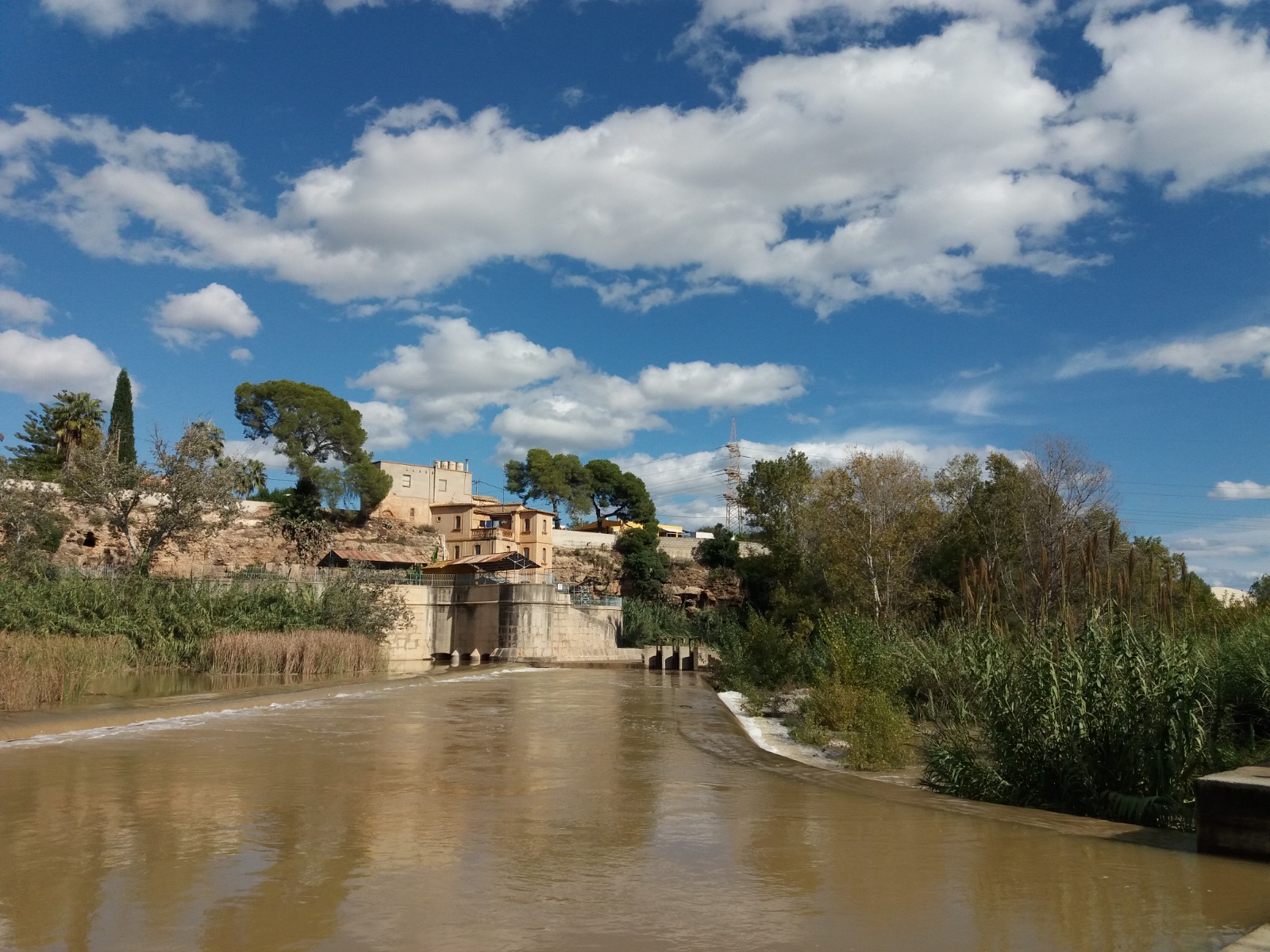 Vila-real triplicará el espacio verde en el entorno del Millars con un proyecto de parque fluvial 