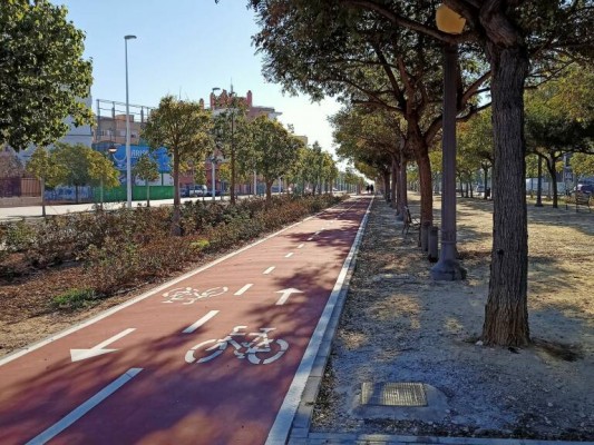El Consell aprueba el informe ambiental del Plan de Movilidad Urbana Sostenible de Elche 